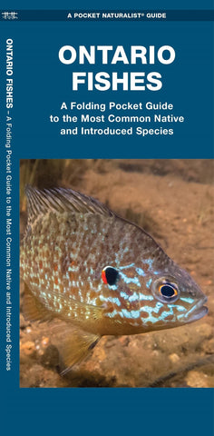 Buy map Ontario Fishes: A Folding Pocket Guide