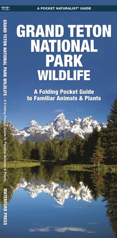 Buy map Grand Teton National Park Wildlife