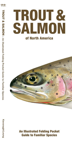 Buy map Trout & Salmon Of North America
