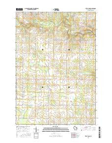 Little Rose Wisconsin Current topographic map, 1:24000 scale, 7.5 X 7.5 Minute, Year 2015