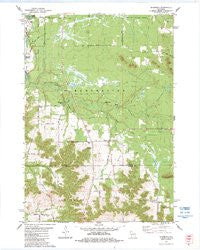 Shamrock Wisconsin Historical topographic map, 1:24000 scale, 7.5 X 7.5 Minute, Year 1983