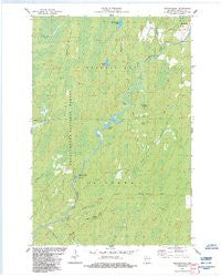 Shanagolden Wisconsin Historical topographic map, 1:24000 scale, 7.5 X 7.5 Minute, Year 1984