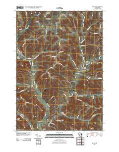 Wilton Wisconsin Historical topographic map, 1:24000 scale, 7.5 X 7.5 Minute, Year 2010