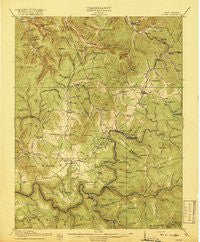Cowen West Virginia Historical topographic map, 1:62500 scale, 15 X 15 Minute, Year 1917
