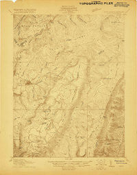 Davis West Virginia Historical topographic map, 1:48000 scale, 15 X 15 Minute, Year 1920