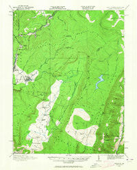 Davis West Virginia Historical topographic map, 1:62500 scale, 15 X 15 Minute, Year 1919