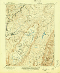 Davis West Virginia Historical topographic map, 1:62500 scale, 15 X 15 Minute, Year 1921