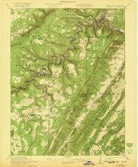 Elk Garden West Virginia Historical topographic map, 1:62500 scale, 15 X 15 Minute, Year 1922