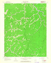 Panther West Virginia Historical topographic map, 1:24000 scale, 7.5 X 7.5 Minute, Year 1963