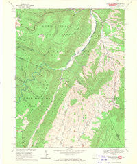 Snowy Mountain West Virginia Historical topographic map, 1:24000 scale, 7.5 X 7.5 Minute, Year 1969