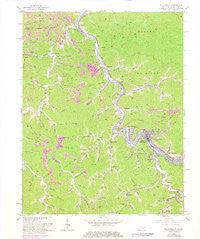 Williamson West Virginia Historical topographic map, 1:24000 scale, 7.5 X 7.5 Minute, Year 1964