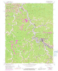 Williamson West Virginia Historical topographic map, 1:24000 scale, 7.5 X 7.5 Minute, Year 1964