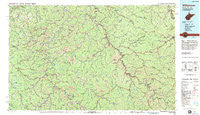 Williamson West Virginia Historical topographic map, 1:100000 scale, 30 X 60 Minute, Year 1982