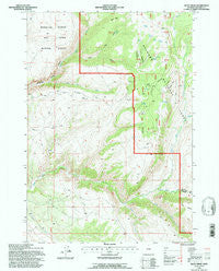 Allen Draw Wyoming Historical topographic map, 1:24000 scale, 7.5 X 7.5 Minute, Year 1993
