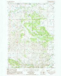 Antelope Gulch Wyoming Historical topographic map, 1:24000 scale, 7.5 X 7.5 Minute, Year 1984