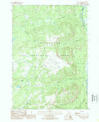Badger Creek Wyoming Historical topographic map, 1:24000 scale, 7.5 X 7.5 Minute, Year 1989