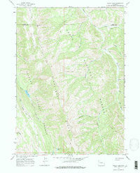 Bailey Lake Wyoming Historical topographic map, 1:24000 scale, 7.5 X 7.5 Minute, Year 1965