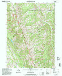 Bailey Lake Wyoming Historical topographic map, 1:24000 scale, 7.5 X 7.5 Minute, Year 1996