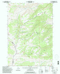 Boyd Ridge Wyoming Historical topographic map, 1:24000 scale, 7.5 X 7.5 Minute, Year 1993