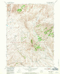 Bradley Peak Wyoming Historical topographic map, 1:24000 scale, 7.5 X 7.5 Minute, Year 1953