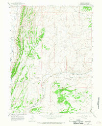 Bridger Wyoming Historical topographic map, 1:24000 scale, 7.5 X 7.5 Minute, Year 1965