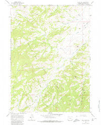 Buck Peak Wyoming Historical topographic map, 1:24000 scale, 7.5 X 7.5 Minute, Year 1964