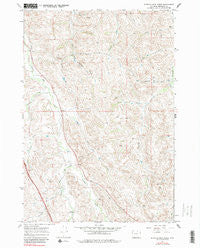 Buffalo Run Creek Wyoming Historical topographic map, 1:24000 scale, 7.5 X 7.5 Minute, Year 1967