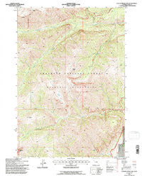 Clouds Home Peak Wyoming Historical topographic map, 1:24000 scale, 7.5 X 7.5 Minute, Year 1991