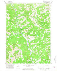 Deer Creek Wyoming Historical topographic map, 1:24000 scale, 7.5 X 7.5 Minute, Year 1965