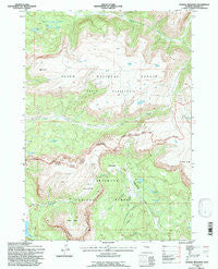 Dundee Meadows Wyoming Historical topographic map, 1:24000 scale, 7.5 X 7.5 Minute, Year 1991