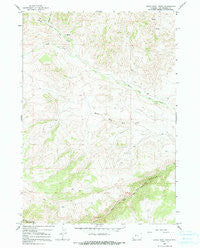Eagle Nest Ranch Wyoming Historical topographic map, 1:24000 scale, 7.5 X 7.5 Minute, Year 1965