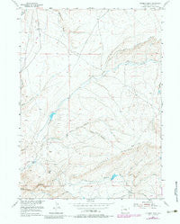 Fourmile Ridge Wyoming Historical topographic map, 1:24000 scale, 7.5 X 7.5 Minute, Year 1953