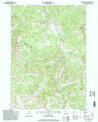 Green Mountain Wyoming Historical topographic map, 1:24000 scale, 7.5 X 7.5 Minute, Year 1996