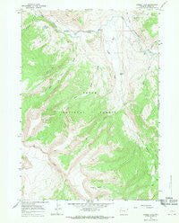 Grizzly Lake Wyoming Historical topographic map, 1:24000 scale, 7.5 X 7.5 Minute, Year 1965