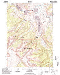Grizzly Lake Wyoming Historical topographic map, 1:24000 scale, 7.5 X 7.5 Minute, Year 1996