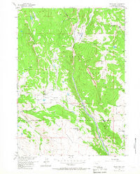 Indian Point Wyoming Historical topographic map, 1:24000 scale, 7.5 X 7.5 Minute, Year 1956