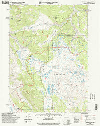 Mosquito Lake Wyoming Historical topographic map, 1:24000 scale, 7.5 X 7.5 Minute, Year 1996