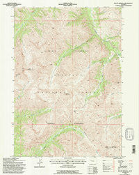 Mount Burwell Wyoming Historical topographic map, 1:24000 scale, 7.5 X 7.5 Minute, Year 1991