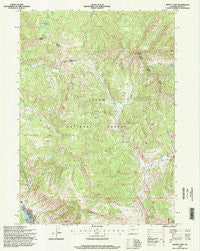 Mount Leidy Wyoming Historical topographic map, 1:24000 scale, 7.5 X 7.5 Minute, Year 1996