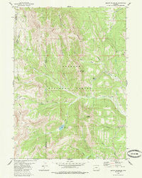 Mount Schideler Wyoming Historical topographic map, 1:24000 scale, 7.5 X 7.5 Minute, Year 1980