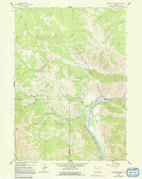 Munger Mountain Wyoming Historical topographic map, 1:24000 scale, 7.5 X 7.5 Minute, Year 1963