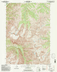 Needle Mountain Wyoming Historical topographic map, 1:24000 scale, 7.5 X 7.5 Minute, Year 1991