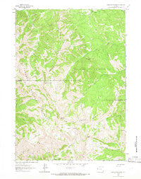 Observation Peak Wyoming Historical topographic map, 1:24000 scale, 7.5 X 7.5 Minute, Year 1963