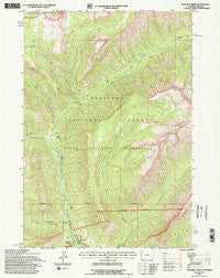 Pahaska Tepee Wyoming Historical topographic map, 1:24000 scale, 7.5 X 7.5 Minute, Year 1991