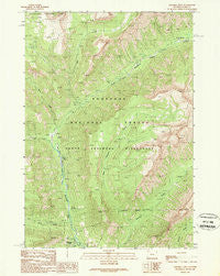Pahaska Tepee Wyoming Historical topographic map, 1:24000 scale, 7.5 X 7.5 Minute, Year 1989