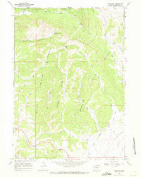Pass Peak Wyoming Historical topographic map, 1:24000 scale, 7.5 X 7.5 Minute, Year 1966