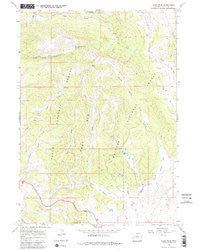 Pass Peak Wyoming Historical topographic map, 1:24000 scale, 7.5 X 7.5 Minute, Year 1966
