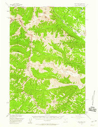 Pilot Peak Wyoming Historical topographic map, 1:62500 scale, 15 X 15 Minute, Year 1956