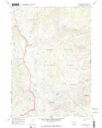 Ranger Peak Wyoming Historical topographic map, 1:24000 scale, 7.5 X 7.5 Minute, Year 1968