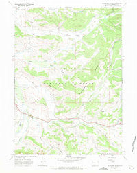 Raspberry Ridge Wyoming Historical topographic map, 1:24000 scale, 7.5 X 7.5 Minute, Year 1967
